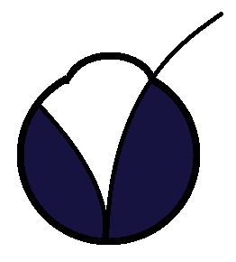 Retina Consultancy